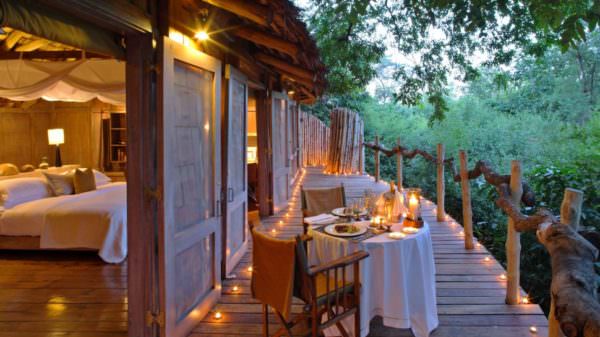 Eco travel destination Lake Manyara Tree Lodge