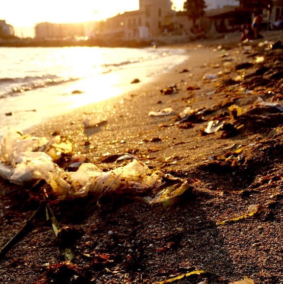ocean pollution washed to shore