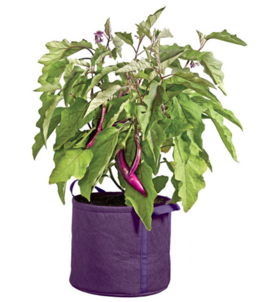 Gardener's Best Universal Grow Bag