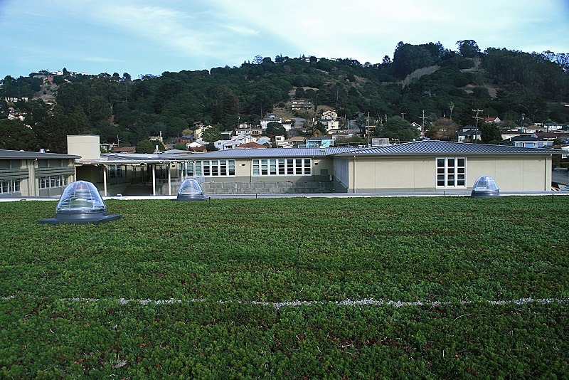 Completed green roof at Korematsu Middle School
