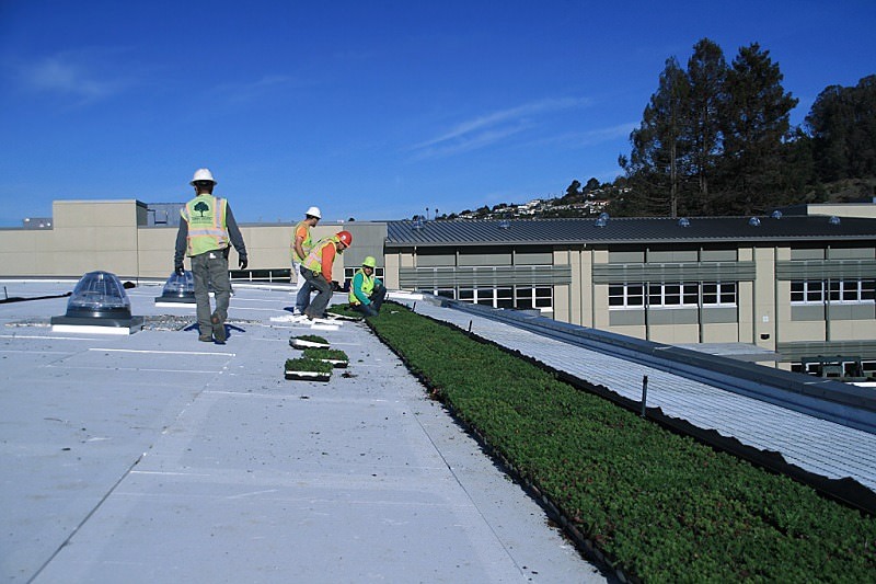 Installers working on the LiveRoof green roof at Korematsu MS