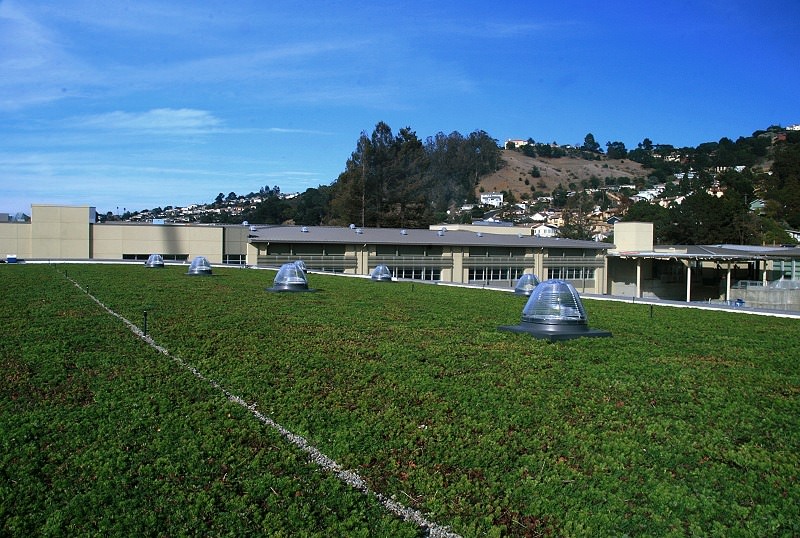 Green roof at Korematsu Middle School