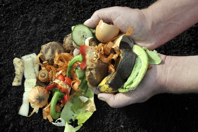 How Does Your City Handle Food Waste?
