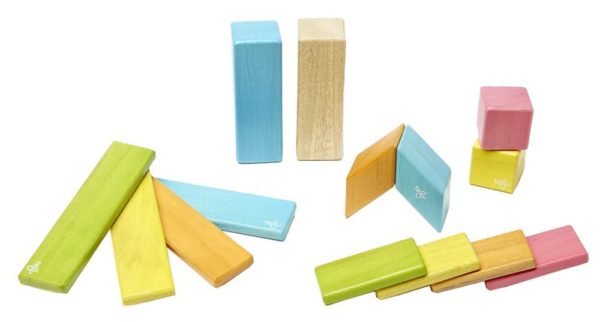 Tegu 14-Piece Magnetic Wooden Block Set
