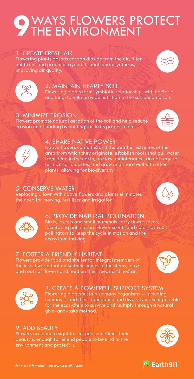 9 ways flowers protect the environment