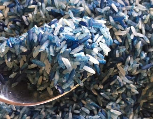 Mixing rice with blue food coloring
