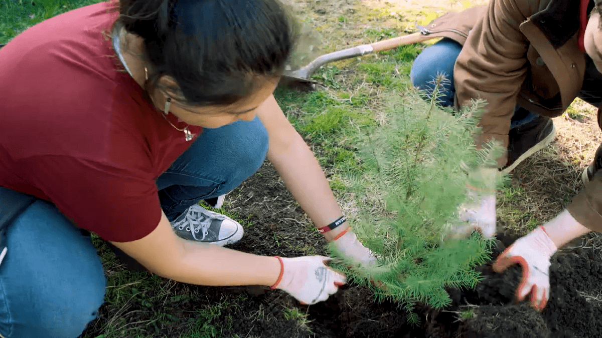 Participants in Duwamish Valley Youth Corps plant trees in South Park neighborhood of Seattle