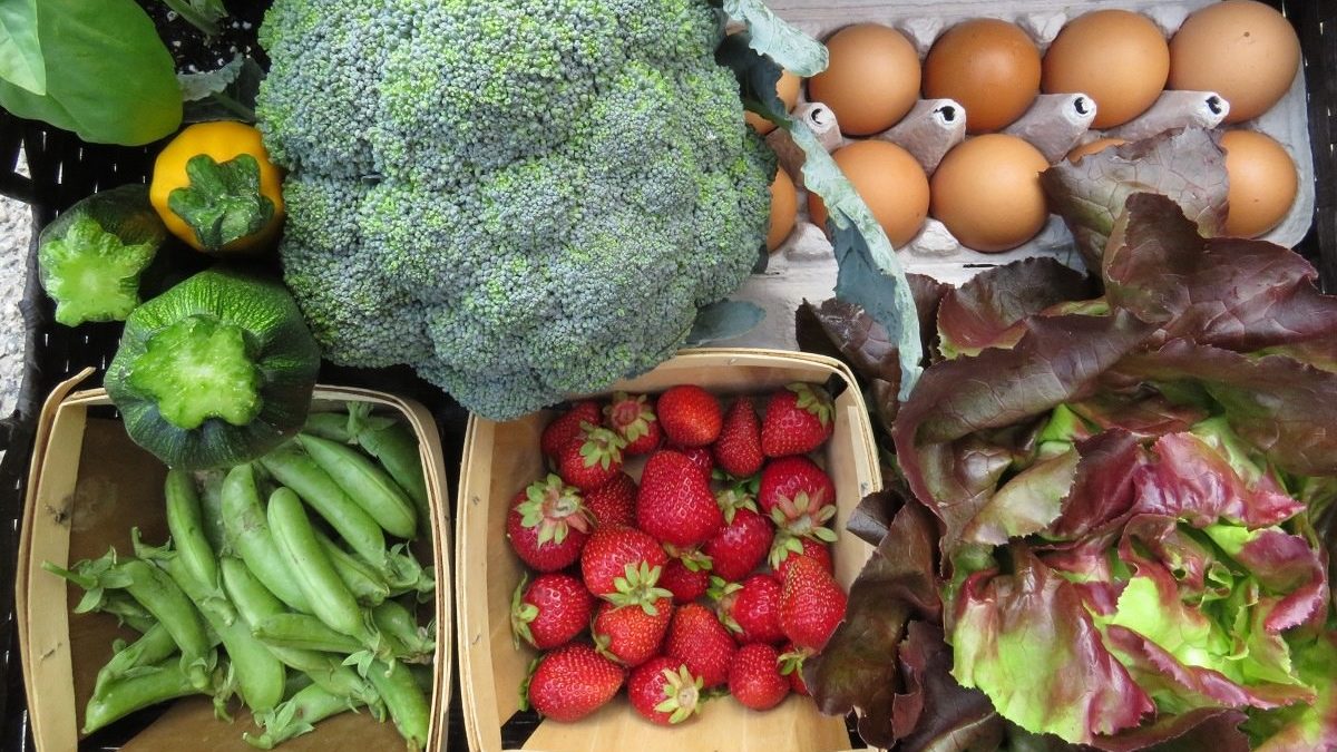 selection of fresh produce and eggs