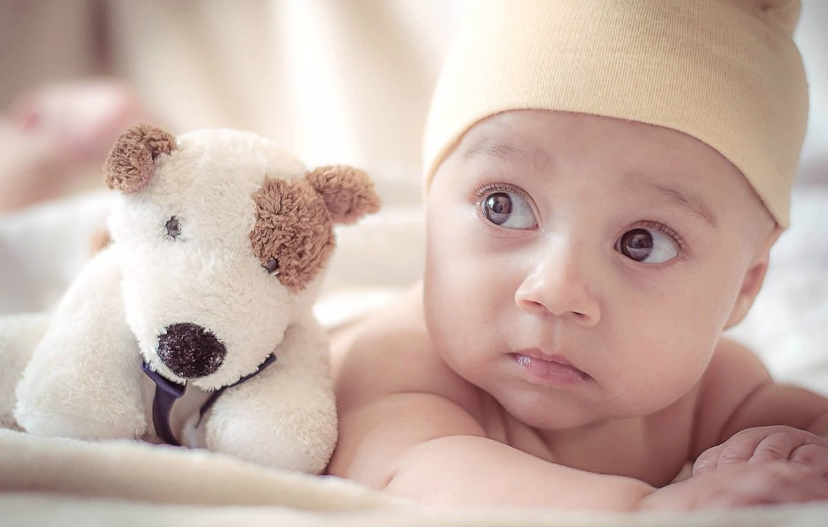 close-up of baby next to stuffed toy