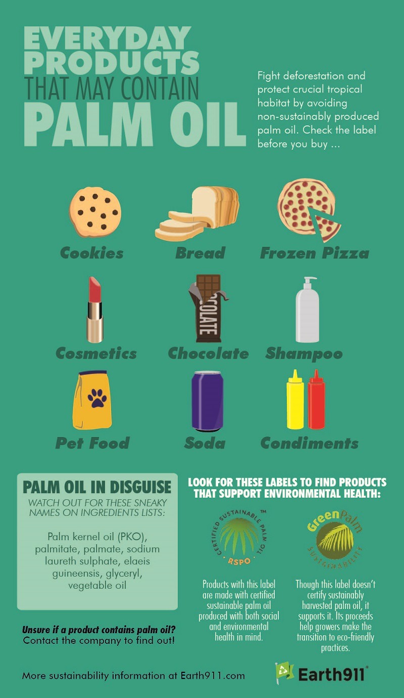 Everyday Products That May Contain Palm Oil