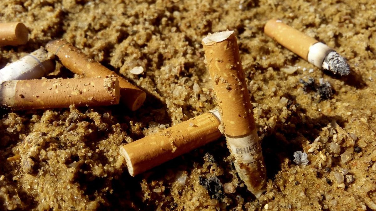 cigarette butts in sand. Photo by TheFreak1337, Pixabay