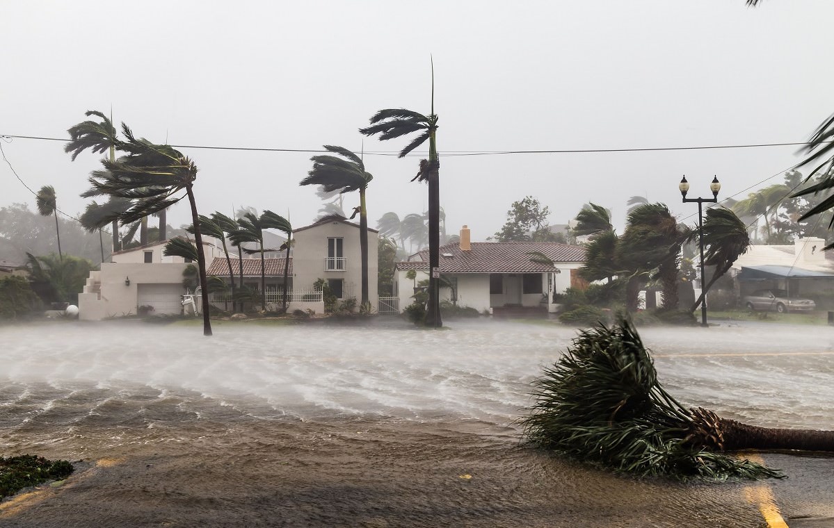Flooded street and palm trees blowing in hurricane winds