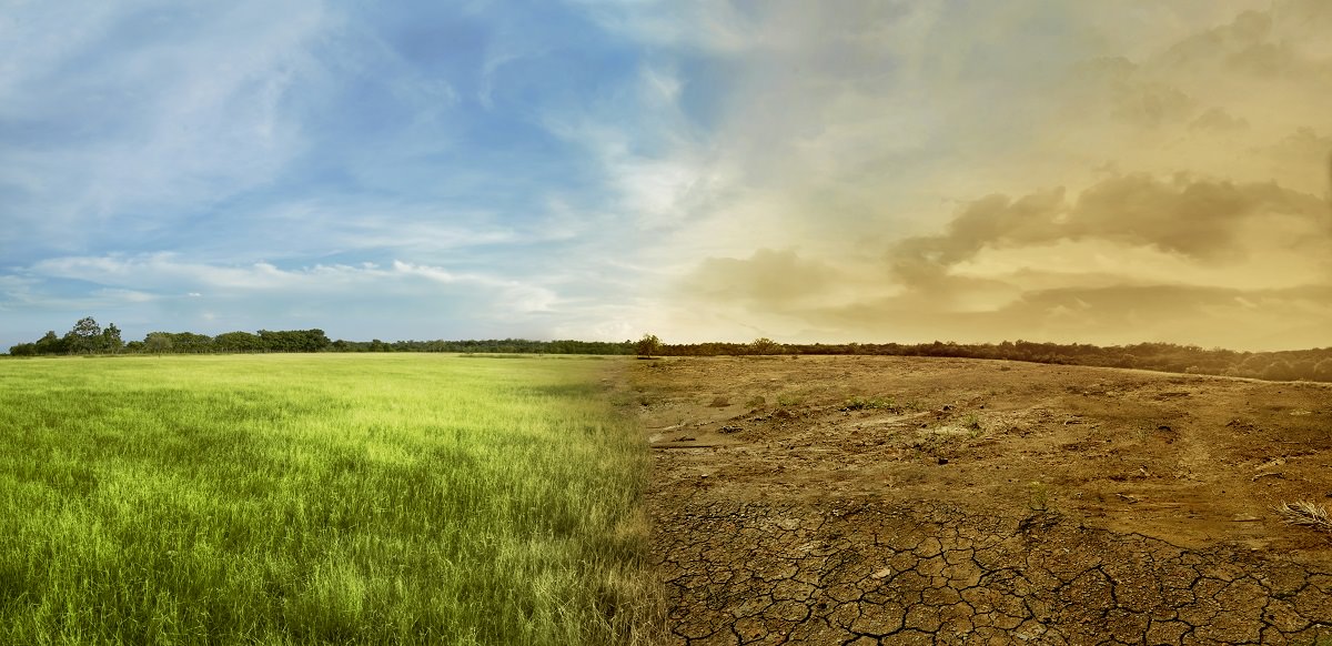 healthy meadow landscape merging into drought landscape