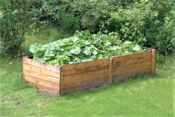 photo of Planning Your Raised Garden image