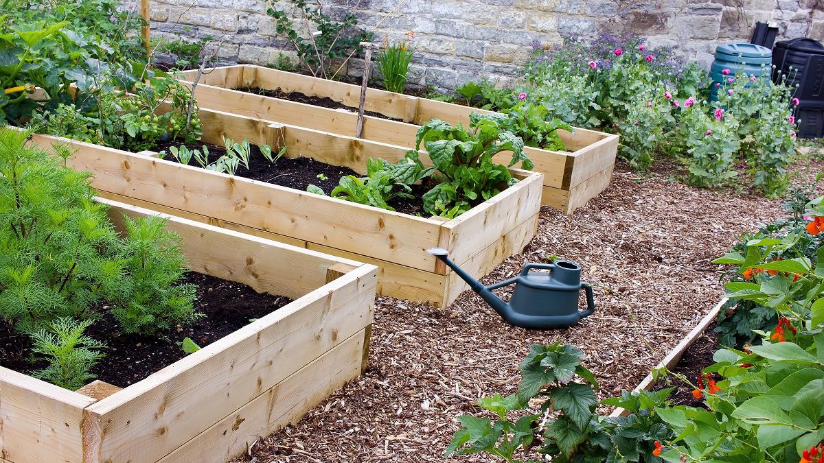 raised garden beds and watering can