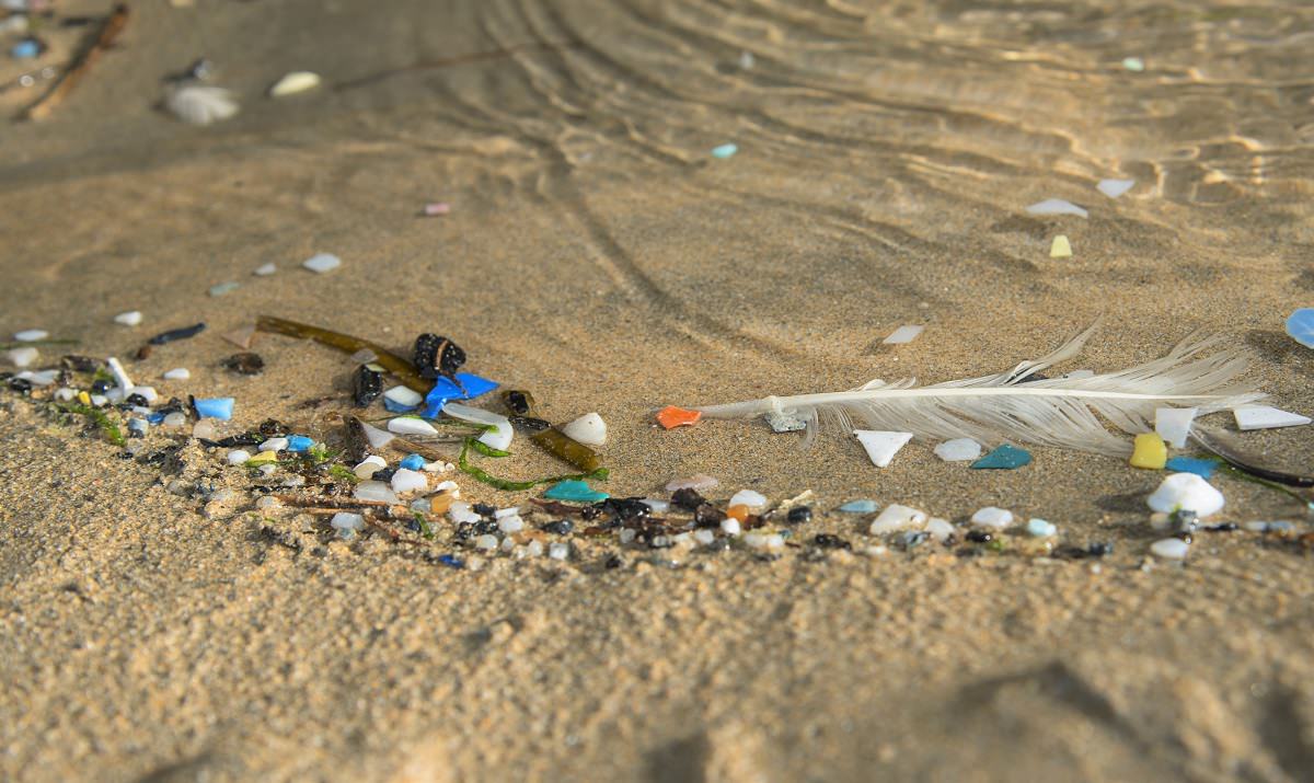 small pieces of plastics on beach