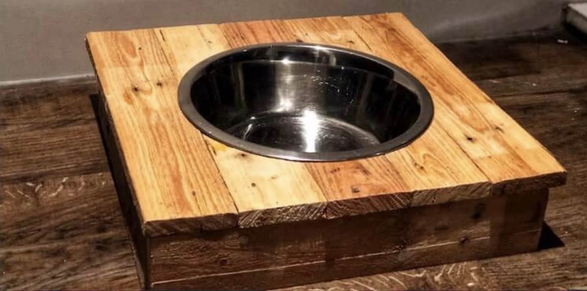 DIY raised dog bowl