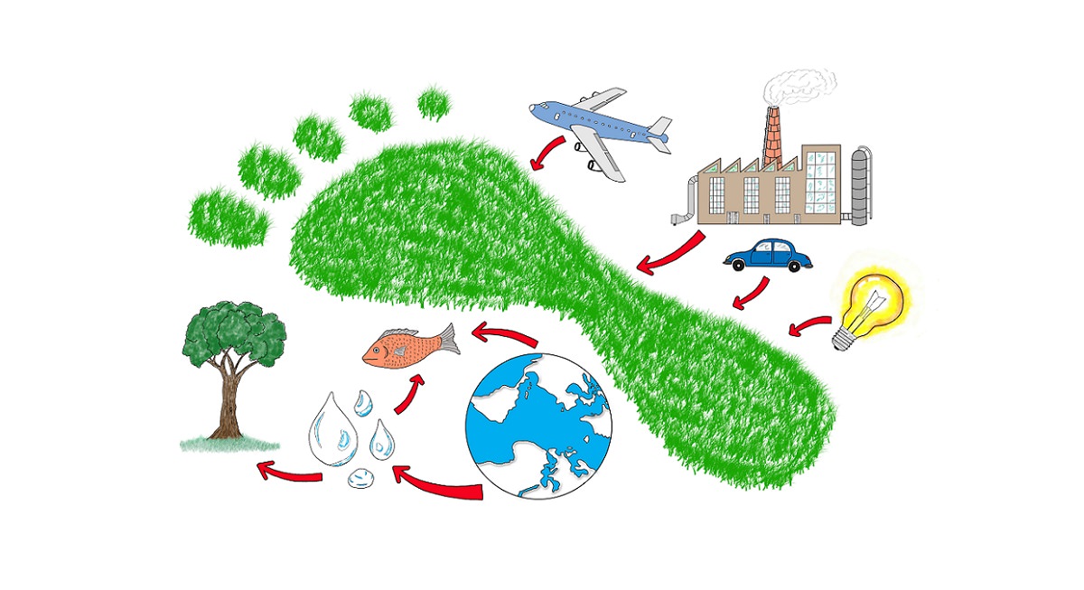 illustration of contributors to a carbon footprint