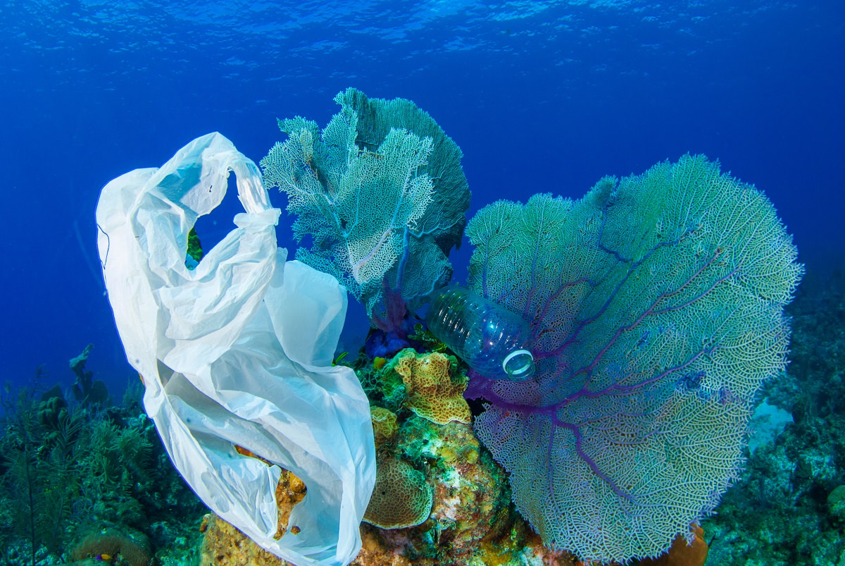 trash in ocean coral