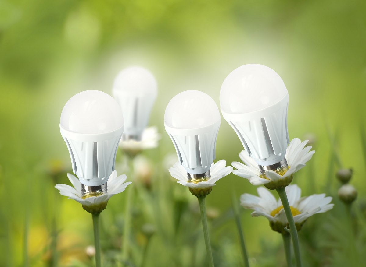 LED light bulbs like flowers
