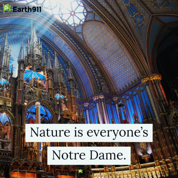 Nature is everyone's Notre Dame.