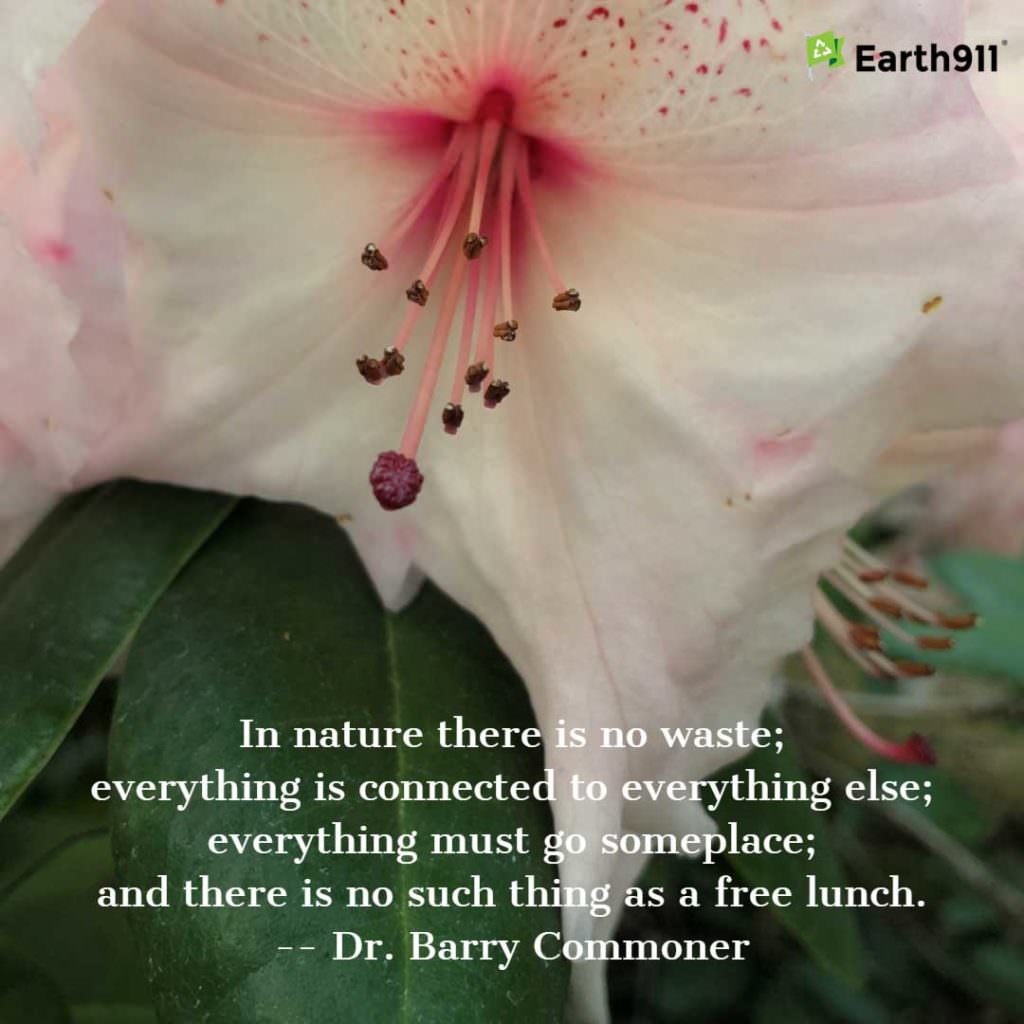 "In nature there is no waste; everything is connected to everything else; everything must go someplace; and there is no such thing as a free lunch." -- Dr. Barry Commoner