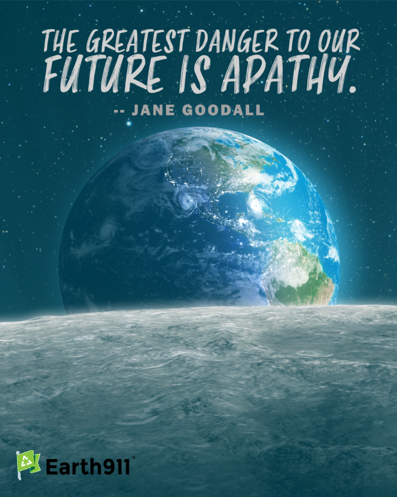 "The greatest danger to our future is apathy." -- Jane Goodall