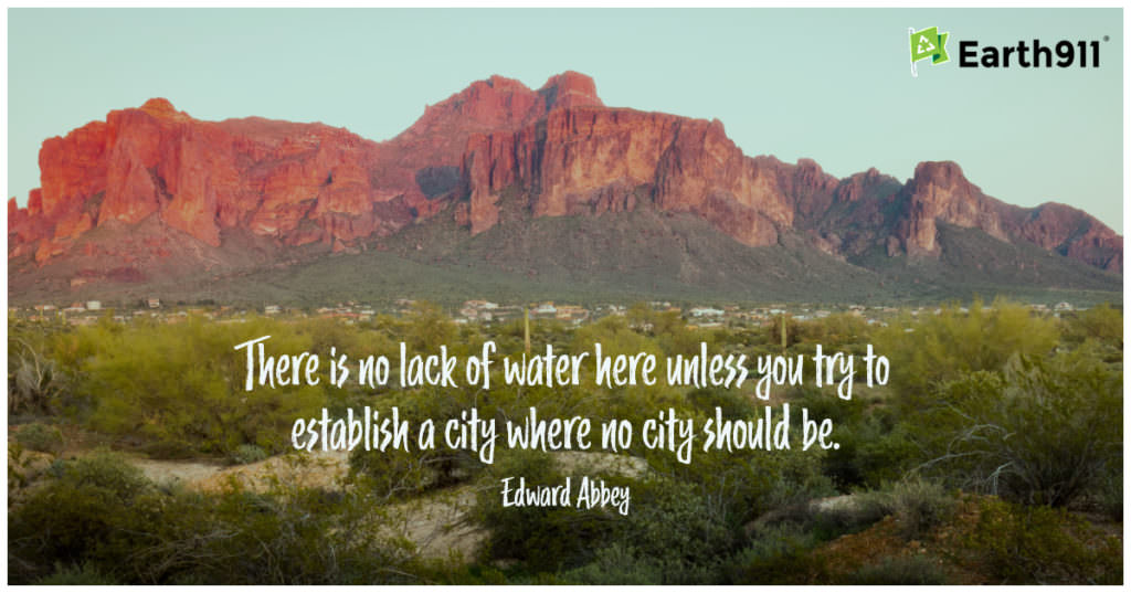"There is no lack of water here unless you try to establish a city where no city should be." --Edward Abbey