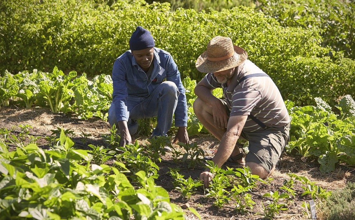 two men working in community garden