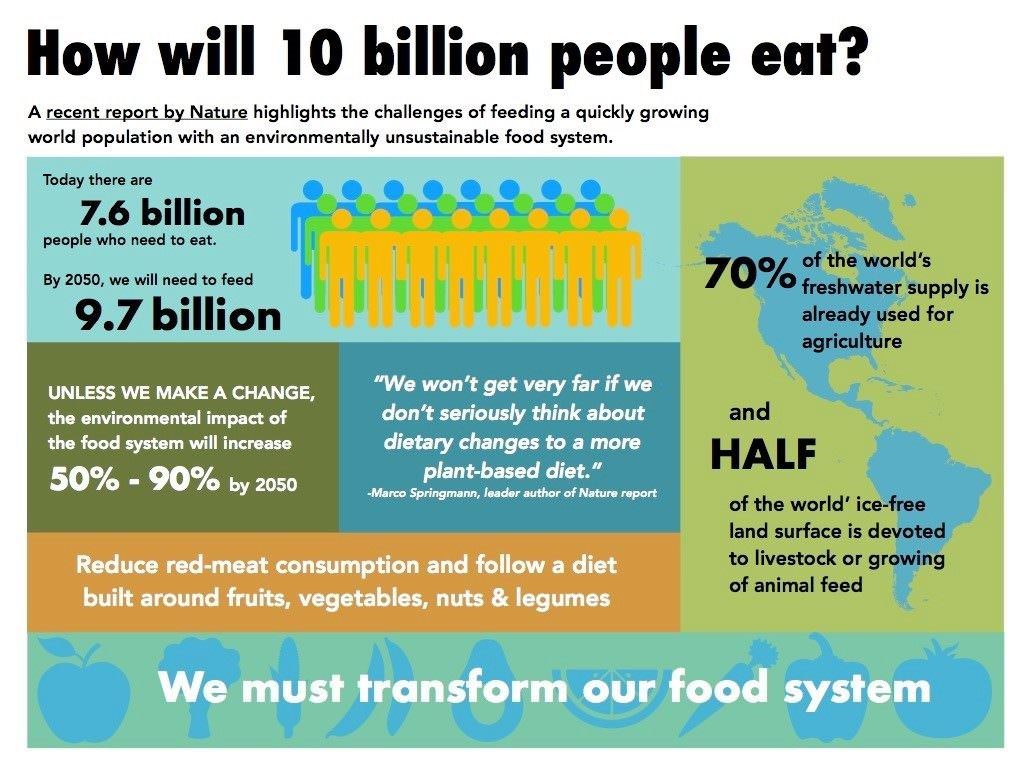 Infographic from Foodprints for the Future: We must transform our food system