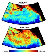 imagery of plankton bloom in NE Pacific before and after eruption of Kasatochi volcano