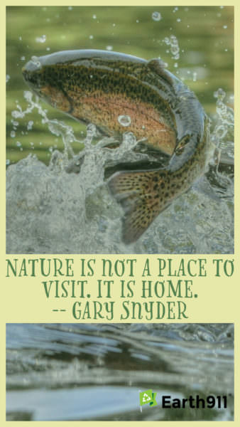 "Nature is not a place to visit. It is home." --Gary Snyder