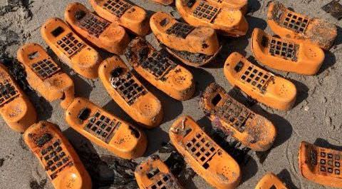 pieces of Garfield novelty phones washed up on beach