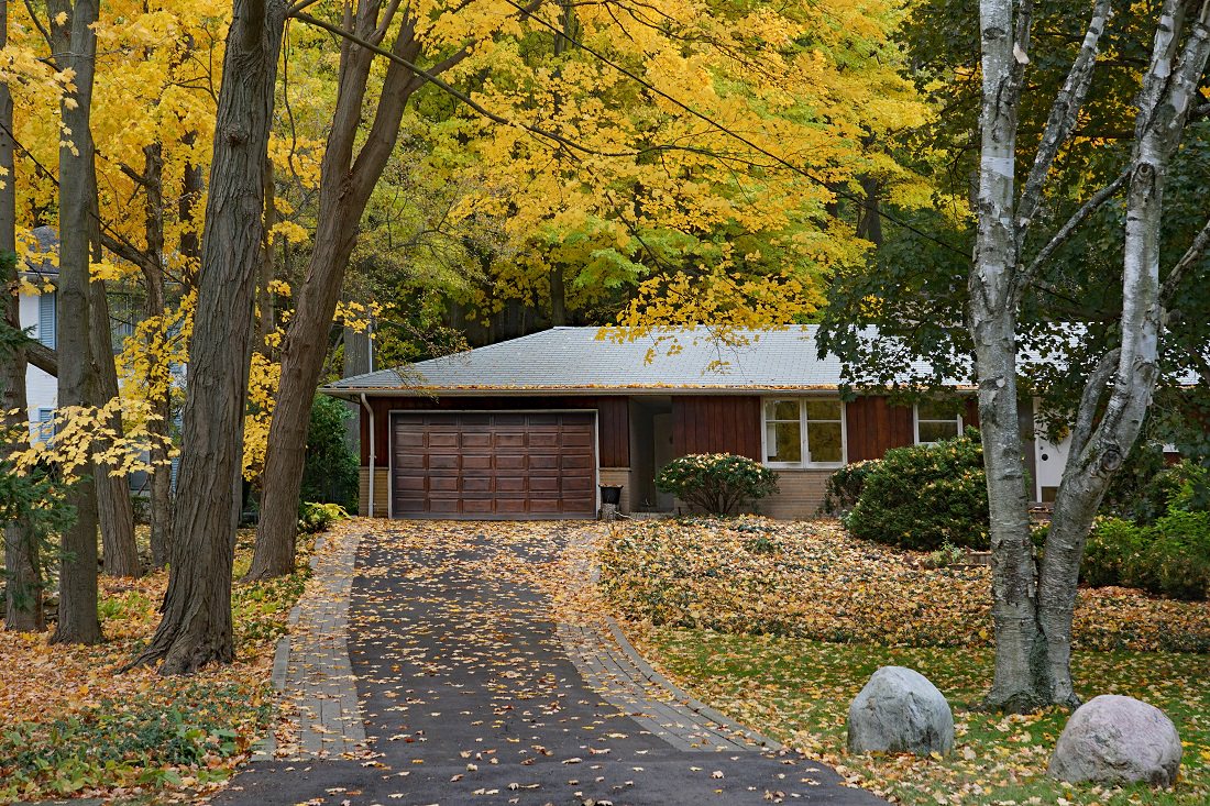 house shaded by trees with fall colors