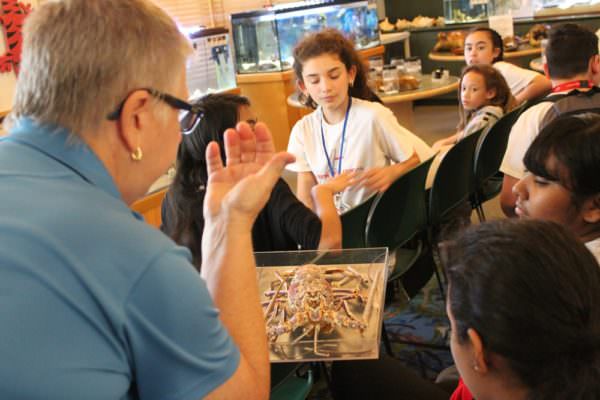 middle school students learn about the spiny lobster in nature center classroom