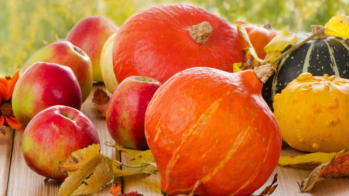 apples, pumpkins, squash, and autumn leaves