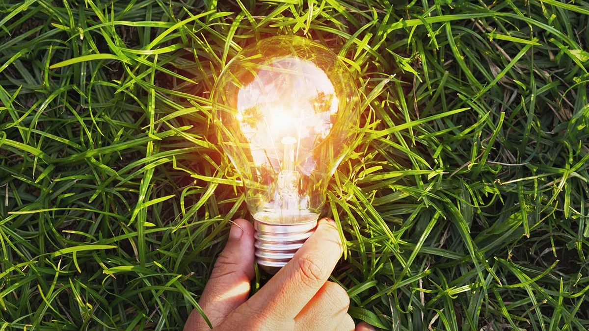 hand holding bright lightbulb on green grass