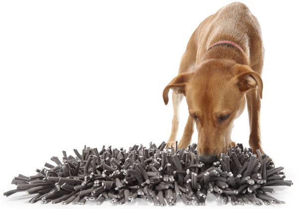 Dog searching hide-a-treat mat for food