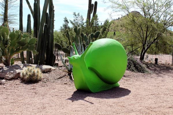 Wildlife Rising Display at Desert Botanical Garden