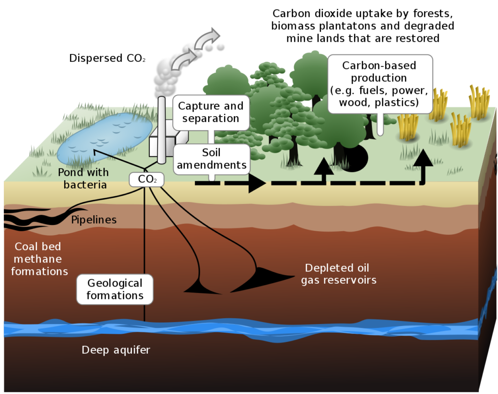 Schematic showing both terrestrial and geological carbon sequestration