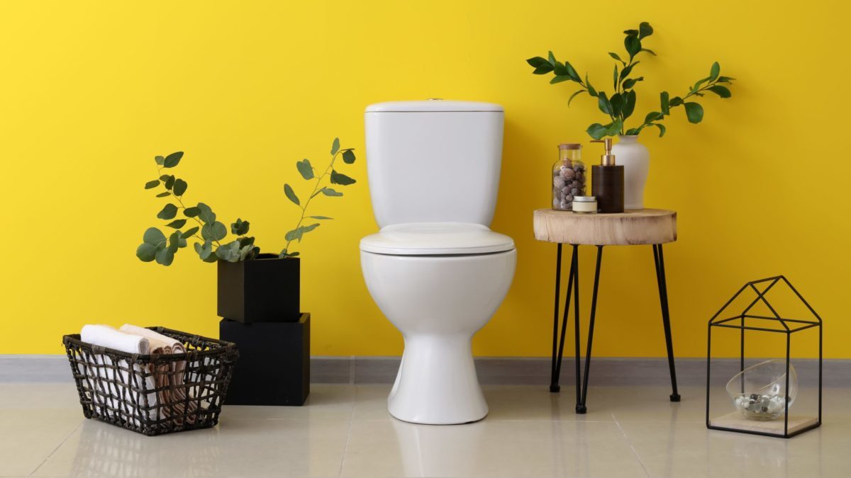 toilet in front of yellow wall with plants