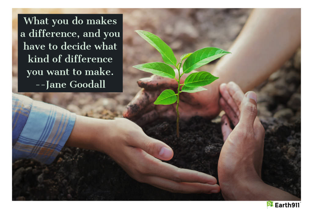 "What you do makes a difference, and you have to decide what kind of difference you want to make." --Jane Goodall