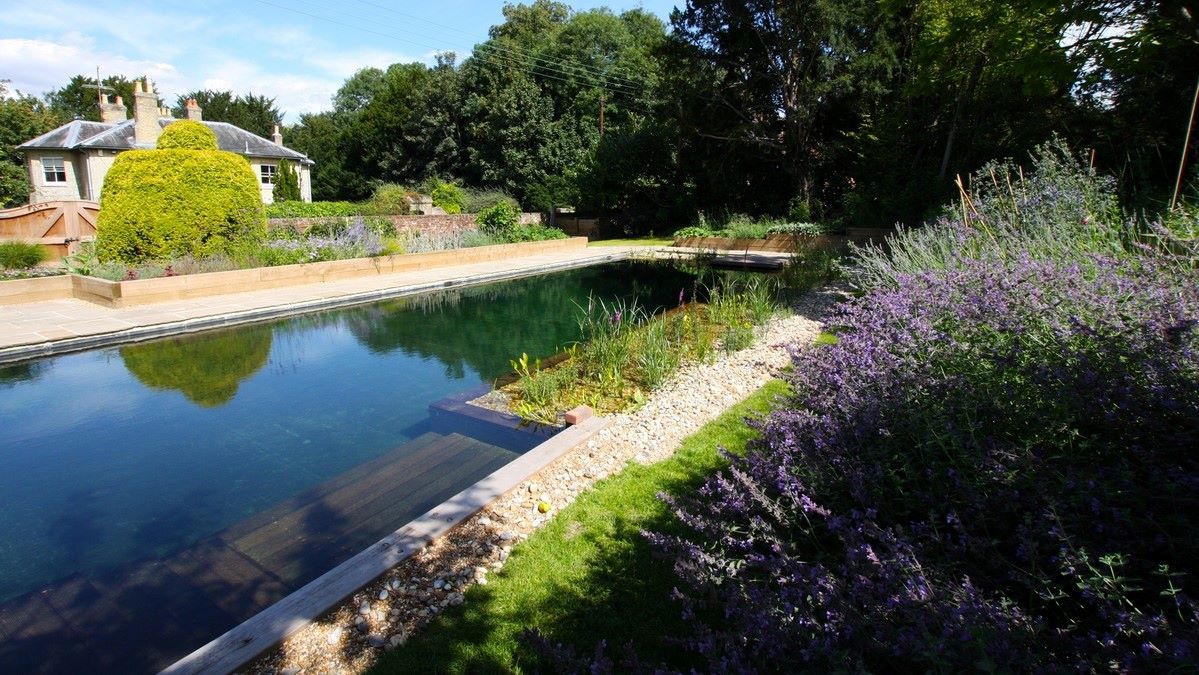 Natural Swimming Pools Benefits Considerations And Cost To Build Earth911
