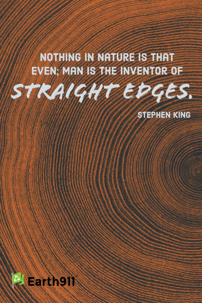 straight edges quote by Stephen King