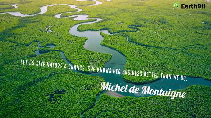 "Let us give nature a chance. She knows her business better than we do." -- Michel de Montiagne