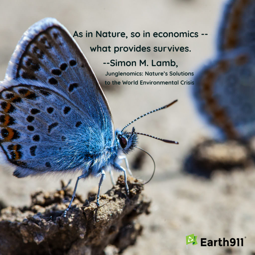"As in nature, so in economics -- what provides, survives." --Simon M. Lamb