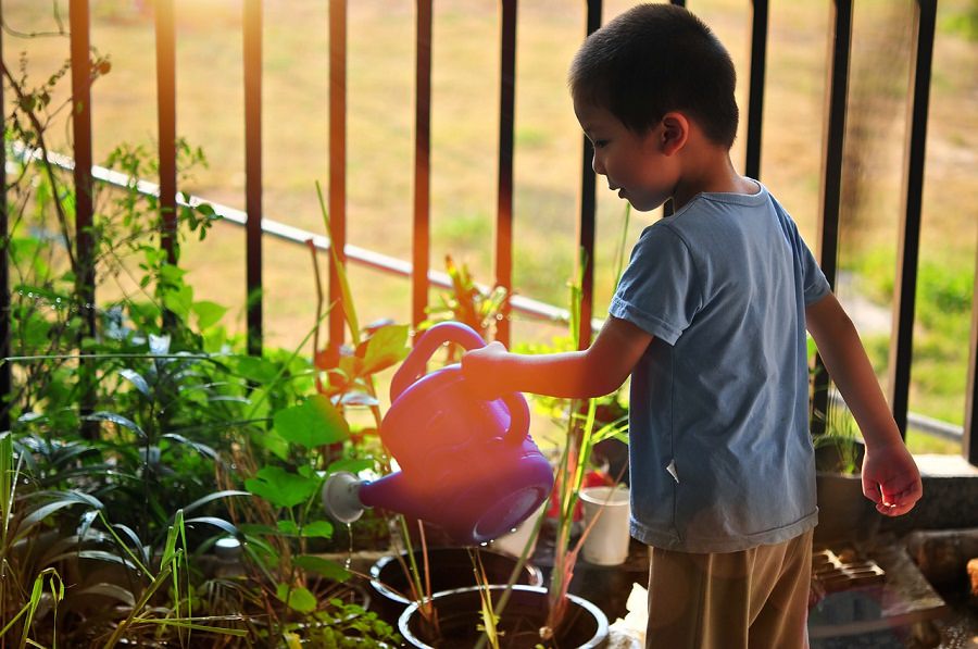 boy watering plants on patio