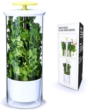NOVART Premium Fresh Herb Keeper
