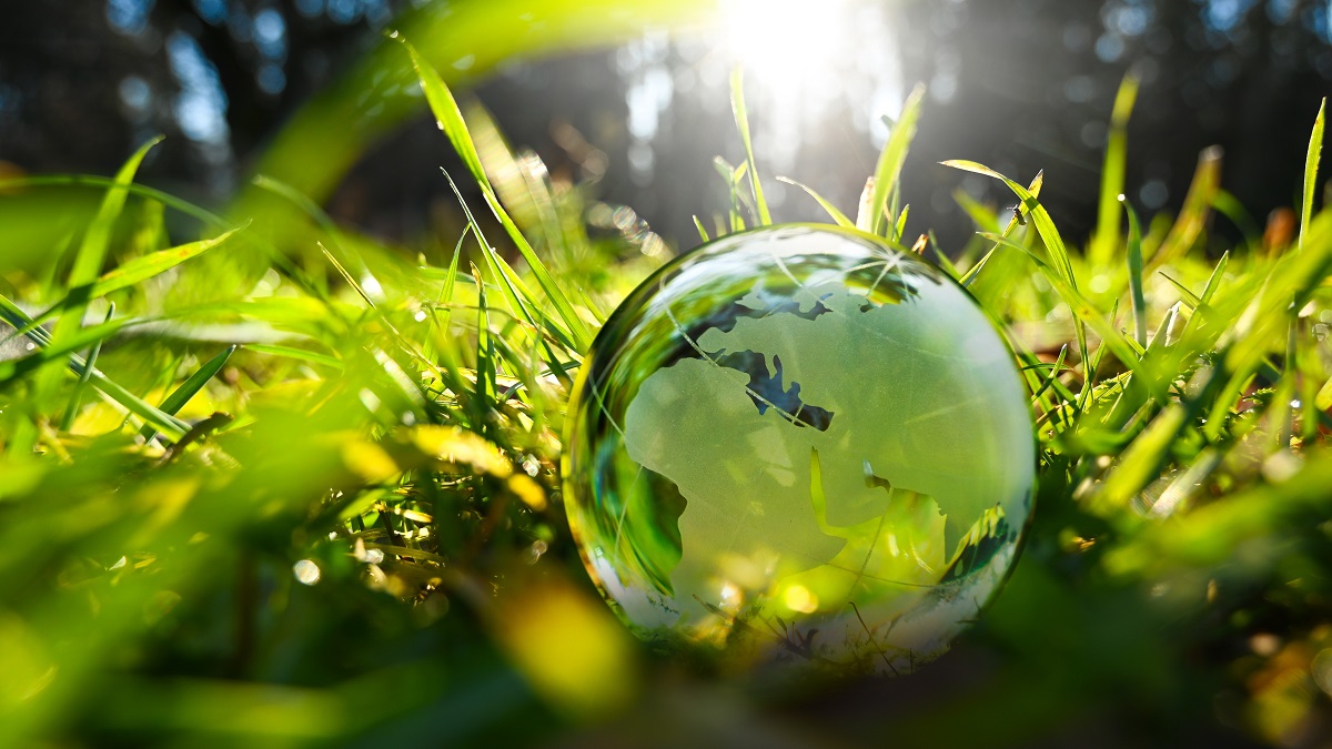 glass earth globe in green grass