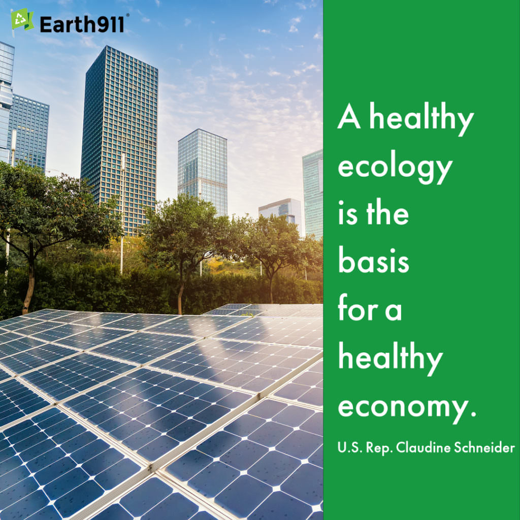 "A healthy ecology is the basis for a healthy economy." U.S. Rep. Claudine Schneider